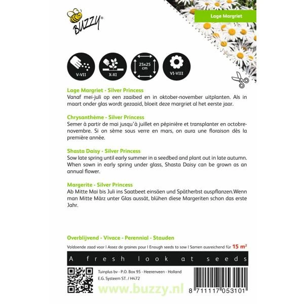 Chrysanthemum Maximum Nanum Silver Princess 4 Chrysanthemum Maximum Nanum Silver Princess - Afbeelding 2