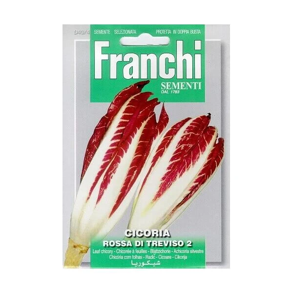 Cicoria Rossa Di Treviso - Roodlof 3 Cicoria Rossa Di Treviso - Roodlof