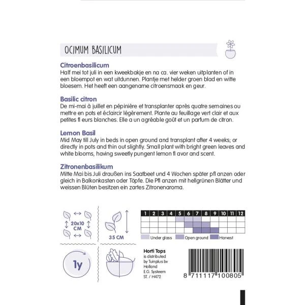Citroenbasilicum - Ocimum Basilicum Citriodorum 4 Citroenbasilicum - Ocimum Basilicum Citriodorum - Afbeelding 2