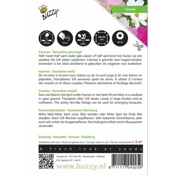 Cosmos Sensation - Cosmea Bipinnatus 4 Cosmos Sensation - Cosmea Bipinnatus - Afbeelding 2
