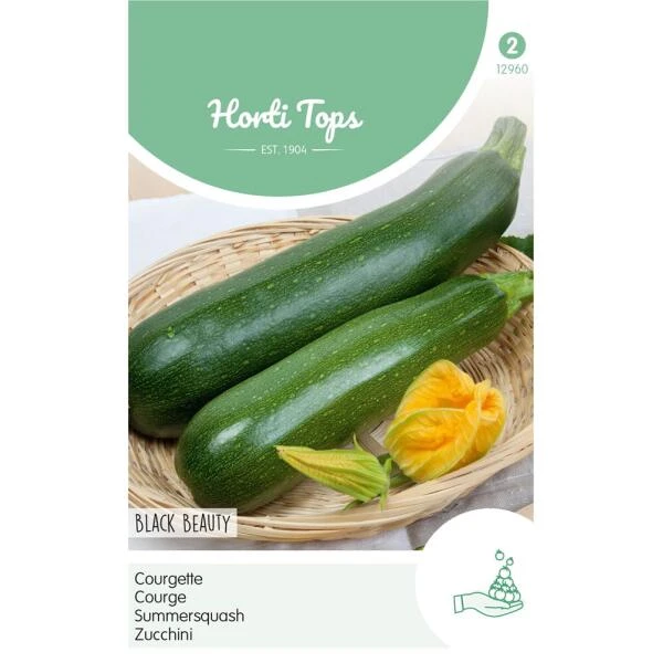 Courgette Black Beauty - Cucurbita Pepo 3 Courgette Black Beauty - Cucurbita Pepo