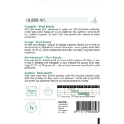 Courgette Black Beauty - Cucurbita Pepo 5 Courgette Black Beauty - Cucurbita Pepo -DCM Verkoopwinkel courgette black beauty cucurbita pepo 1646840323 276 600