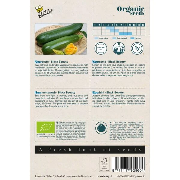 Courgette Black Beauty BIO 4 Courgette Black Beauty BIO - Afbeelding 2