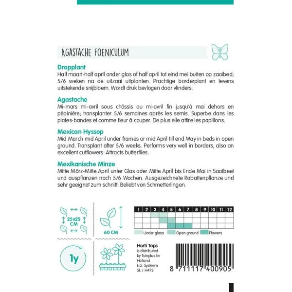 Dropplant - Agastache Mexicana 4 Dropplant - Agastache Mexicana - Afbeelding 2