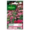 Duizendschoon Indisch Tapijt - Dianthus Barbatus -DCM Verkoopwinkel duizendschoon indisch tapijt dianthus barbatus 1646839545 234 600