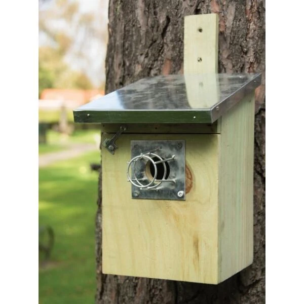 ESSCHERT DESIGN Beschermingskorfje Nestkast Tegen Eekhoorn En Marter 5 ESSCHERT DESIGN Beschermingskorfje Nestkast Tegen Eekhoorn En Marter - Afbeelding 3