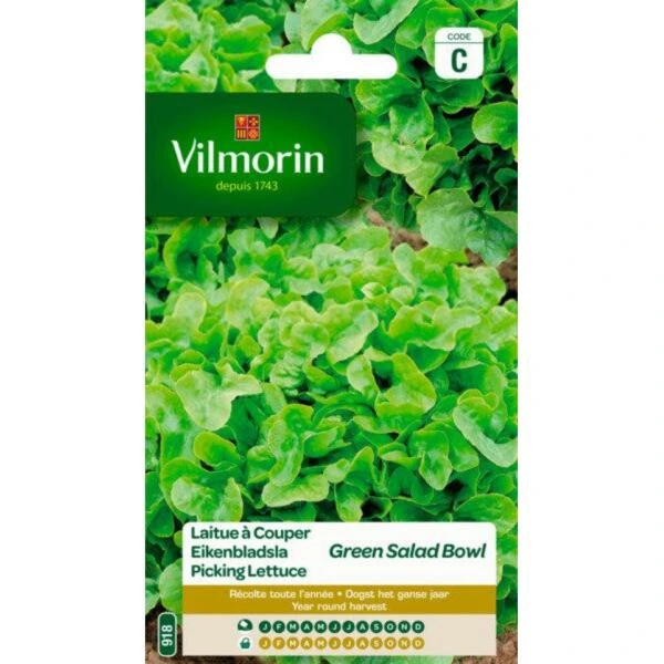 Eikenbladsla Groene Salad Bowl BIO 3 Eikenbladsla Groene Salad Bowl BIO