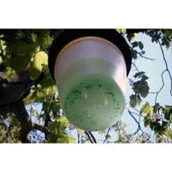 EDIALUX Kastanjemottenval Feromoon - Gel Tegen Mineermotten -DCM Verkoopwinkel feromoon kastanjemottenval 1484053760 1 600