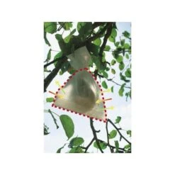 Fruithoezen 30 × 40 Cm - Set Van 50 Stuks -DCM Verkoopwinkel fruithoezen 1484055104 3 600