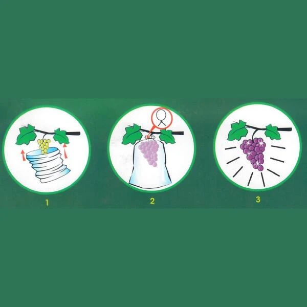 Fruithoezen 17 × 22 Cm Micropapier - Set Van 50 Stuks 4 Fruithoezen 17 × 22 Cm Micropapier - Set Van 50 Stuks - Afbeelding 2