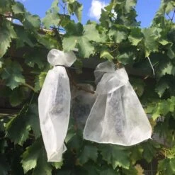 Fruithoezen 30 × 40 Cm - Set Van 50 Stuks -DCM Verkoopwinkel fruithoezen 30 x 40cm 1570958556 1 600