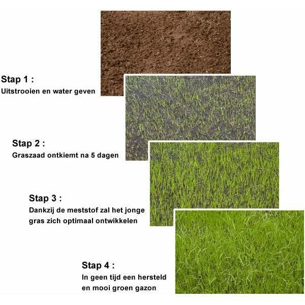 Substral Patch Magic Gazonherstel - Special Honden 1 Kg 4 Substral Patch Magic Gazonherstel - Special Honden 1 Kg - Afbeelding 2