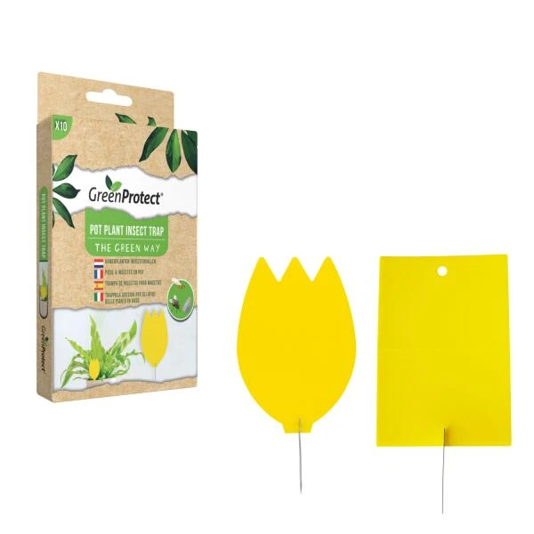 Insectenvallen Gele Lijmplaatjes - Set Van 10 Stuks - Greenprotect 3 Insectenvallen Gele Lijmplaatjes - Set Van 10 Stuks - Greenprotect