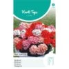 Geranium Magic Beauty - Pelargonium Zonale 1 Geranium Magic Beauty - Pelargonium Zonale -DCM Verkoopwinkel geranium magic beauty pelargonium zonale 1646840363 1128 600