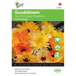 Goudsbloem Pacific Beauty - Calendula Officinalis