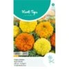 Hoge Afrikaan Sunset Giants - Tagetes Erecta 2 Hoge Afrikaan Sunset Giants - Tagetes Erecta -DCM Verkoopwinkel hoge afrikaan sunset giants tagetes erecta 1646840365 1169 600