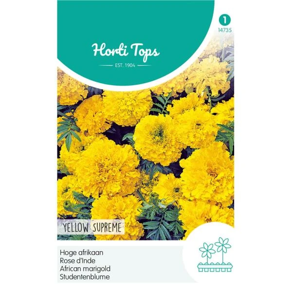 Hoge Afrikaan Yellow Supreme - Tagetes Erecta 3 Hoge Afrikaan Yellow Supreme - Tagetes Erecta