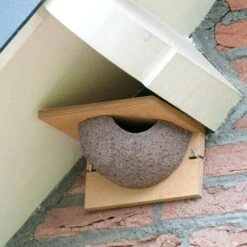 Zwaluwnest Voor Huiszwaluw - Enkel