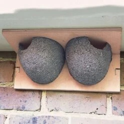 Zwaluwnest Voor Huiszwaluw - Dubbel