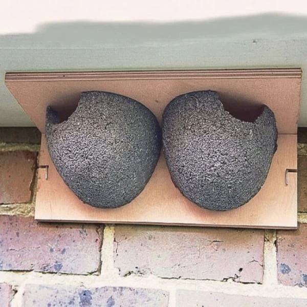 Zwaluwnest Voor Huiszwaluw - Dubbel 3 Zwaluwnest Voor Huiszwaluw - Dubbel