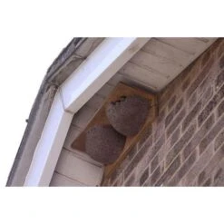 Zwaluwnest Voor Huiszwaluw - Dubbel 8 Zwaluwnest Voor Huiszwaluw - Dubbel -DCM Verkoopwinkel huiszwaluwnestkast dubbel 1484055101 2 600