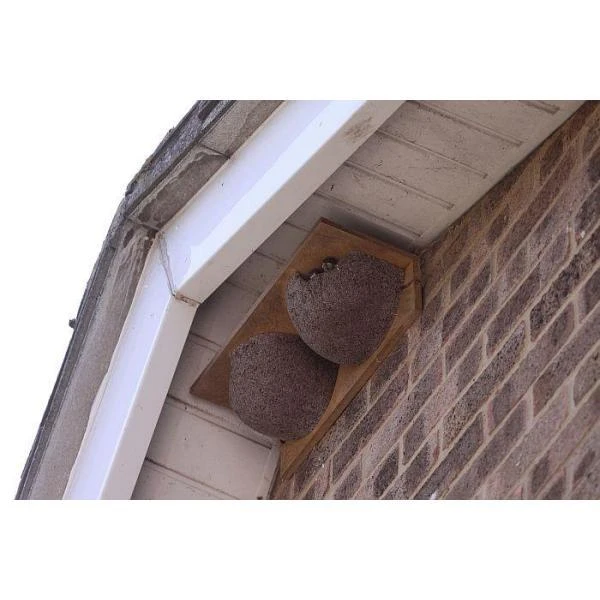 Zwaluwnest Voor Huiszwaluw - Dubbel 4 Zwaluwnest Voor Huiszwaluw - Dubbel - Afbeelding 2