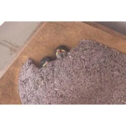 Zwaluwnest Voor Huiszwaluw - Dubbel 9 Zwaluwnest Voor Huiszwaluw - Dubbel -DCM Verkoopwinkel huiszwaluwnestkast dubbel 1484055101 3 600