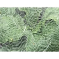 Insectengaas Tegen Koolvliegen, Etc.,...366 Cm × 600 Cm