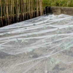 Insectennet Biocontrol 3,3 × 10 M