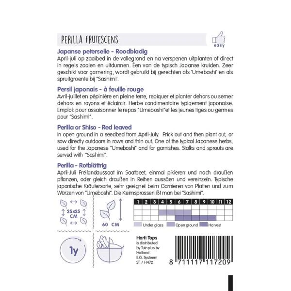 Japanse Peterselie - Perilla Crispa 4 Japanse Peterselie - Perilla Crispa - Afbeelding 2