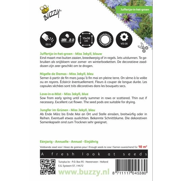 Juffertje Int Groen Miss Jekyll - Nigella Damascena 4 Juffertje Int Groen Miss Jekyll - Nigella Damascena - Afbeelding 2