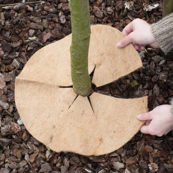 Jute Afdekring - Ø 37 Cm 3 Jute Afdekring - Ø 37 Cm