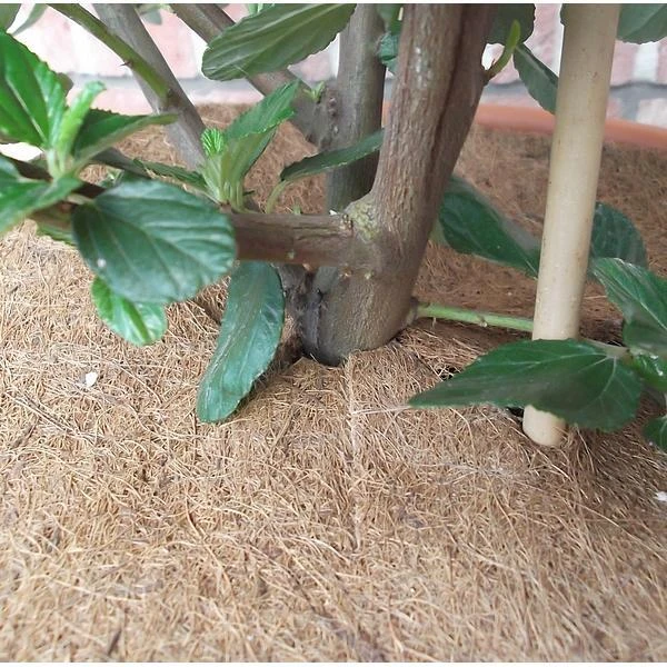 Jute Afdekring - Ø 37 Cm 5 Jute Afdekring - Ø 37 Cm - Afbeelding 3