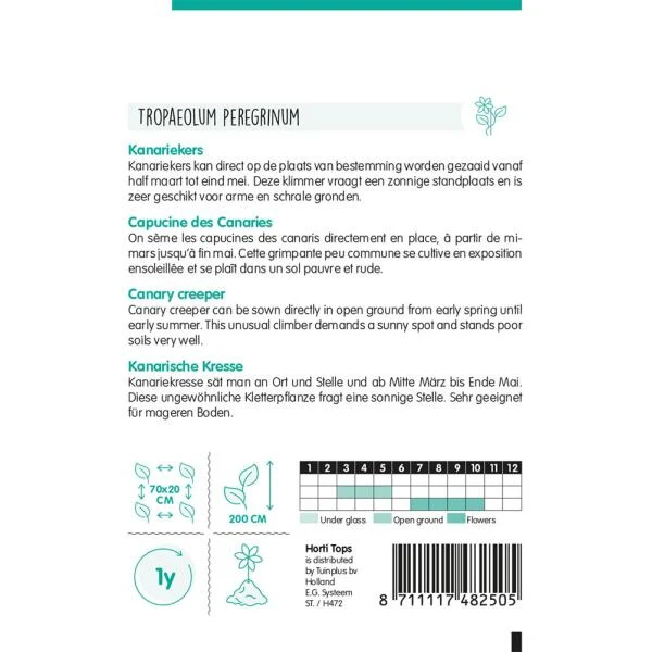 Kanariekers - Tropaeolum Peregrinum 4 Kanariekers - Tropaeolum Peregrinum - Afbeelding 2