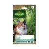 Kattengras - Gerst 80 G -DCM Verkoopwinkel kattengras 80 g 1484063869 1 600