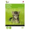 Kattengras Gerst -DCM Verkoopwinkel kattengras gerst 1646840387 1574 600