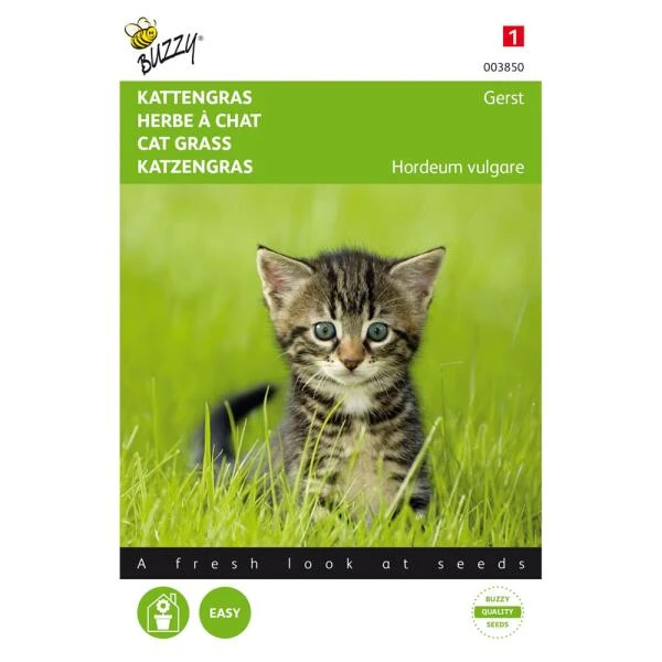 Kattengras Gerst 3 Kattengras Gerst
