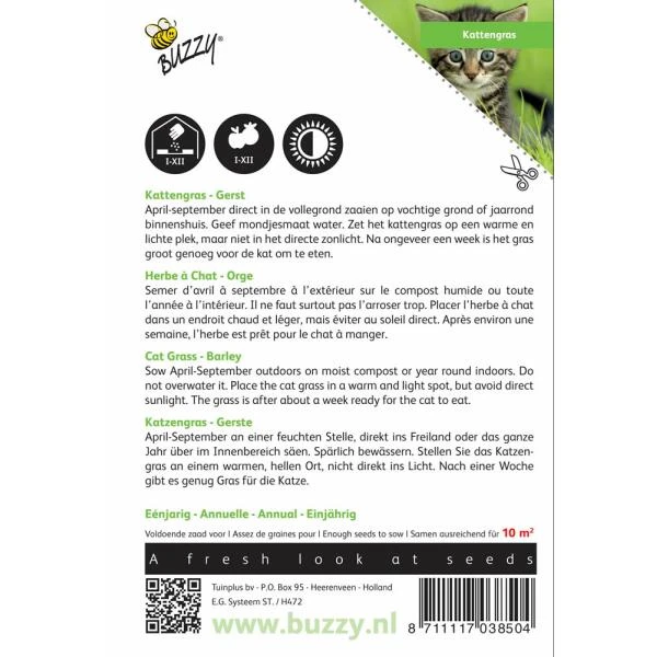 Kattengras Gerst 4 Kattengras Gerst - Afbeelding 2