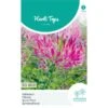 Kattensnor Rose Queen - Cleome Spinosa HT 2 Kattensnor Rose Queen - Cleome Spinosa HT -DCM Verkoopwinkel kattensnor rose queen cleome spinosa ht 1646840358 1012 600