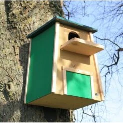 Nestkast Kerkuil Cederhout - Zelfbouwpakket