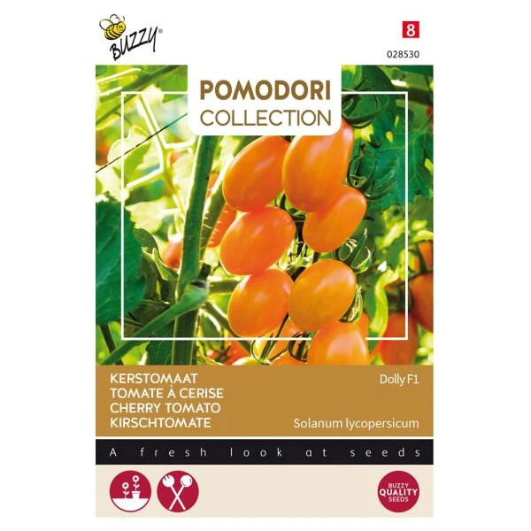 Kerstomaat Dolly F1 3 Kerstomaat Dolly F1