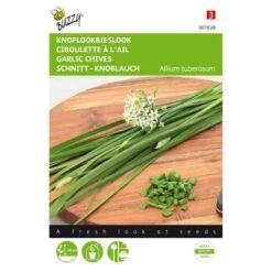 Knoflook-Bieslook Chinese