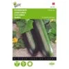 Komkommer Johanna - Cucumis Sativus 2 Komkommer Johanna - Cucumis Sativus -DCM Verkoopwinkel komkommer johanna cucumis sativus 1646840315 89 600