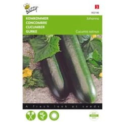 Komkommer Johanna - Cucumis Sativus