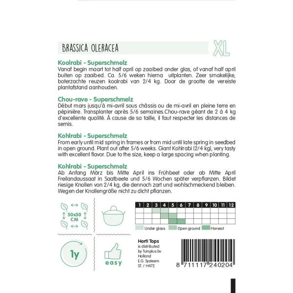 Koolrabi Superschmelz - Brassica Oleracea 4 Koolrabi Superschmelz - Brassica Oleracea - Afbeelding 2