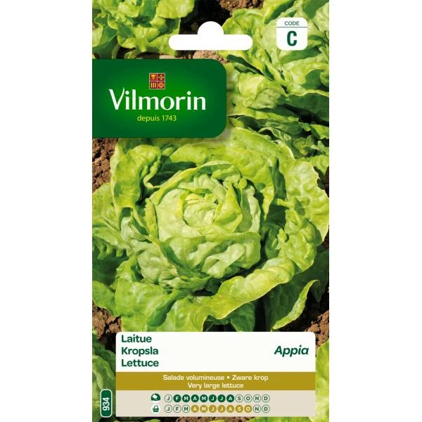 Kropsla Appia 3 Kropsla Appia