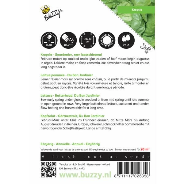 Kropsla Gaardenier - Lactuca Sativa 4 Kropsla Gaardenier - Lactuca Sativa - Afbeelding 2