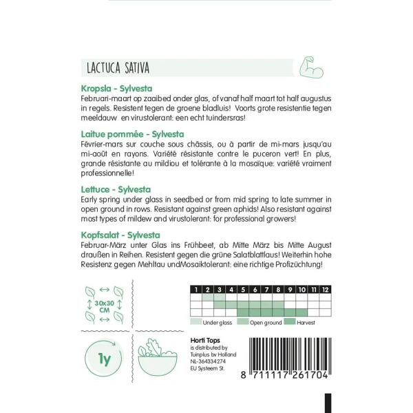 Kropsla Mafalda - Lactuca Sativa 4 Kropsla Mafalda - Lactuca Sativa - Afbeelding 2