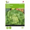Kropsla Zomerdiamant - Lactuca Sativa 1 Kropsla Zomerdiamant - Lactuca Sativa -DCM Verkoopwinkel kropsla zomerdiamant lactuca sativa 1646840319 175 600