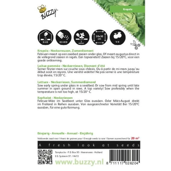 Kropsla Zomerdiamant - Lactuca Sativa 4 Kropsla Zomerdiamant - Lactuca Sativa - Afbeelding 2